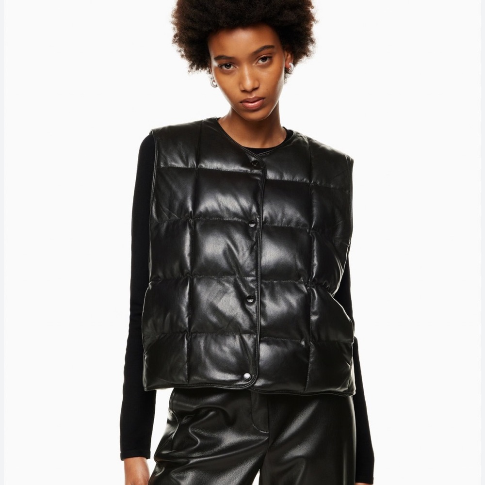 Aritzia Babaton Altman Vest
